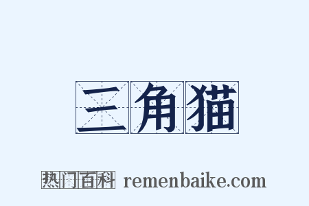 三角猫是什么意思的图片